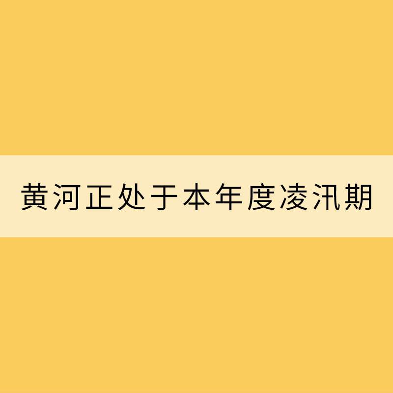 黃河正處于本年度凌汛期——警惕流凌“美麗外表”下暗藏的風(fēng)險(xiǎn)